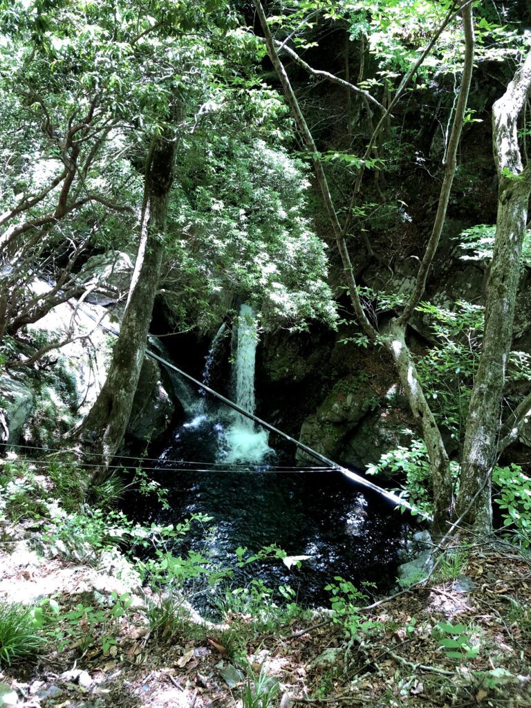 川苔山ちいさな名もない滝
