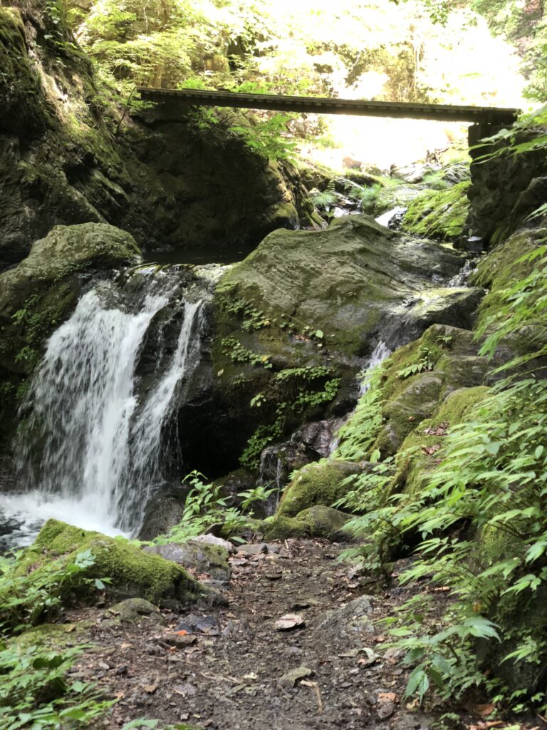 川苔山といえばこの写真