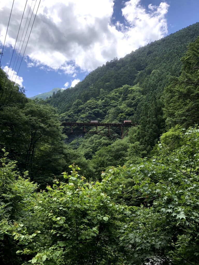 川苔山から奥多摩駅に向かう途中に見れる景色のトロッコです。