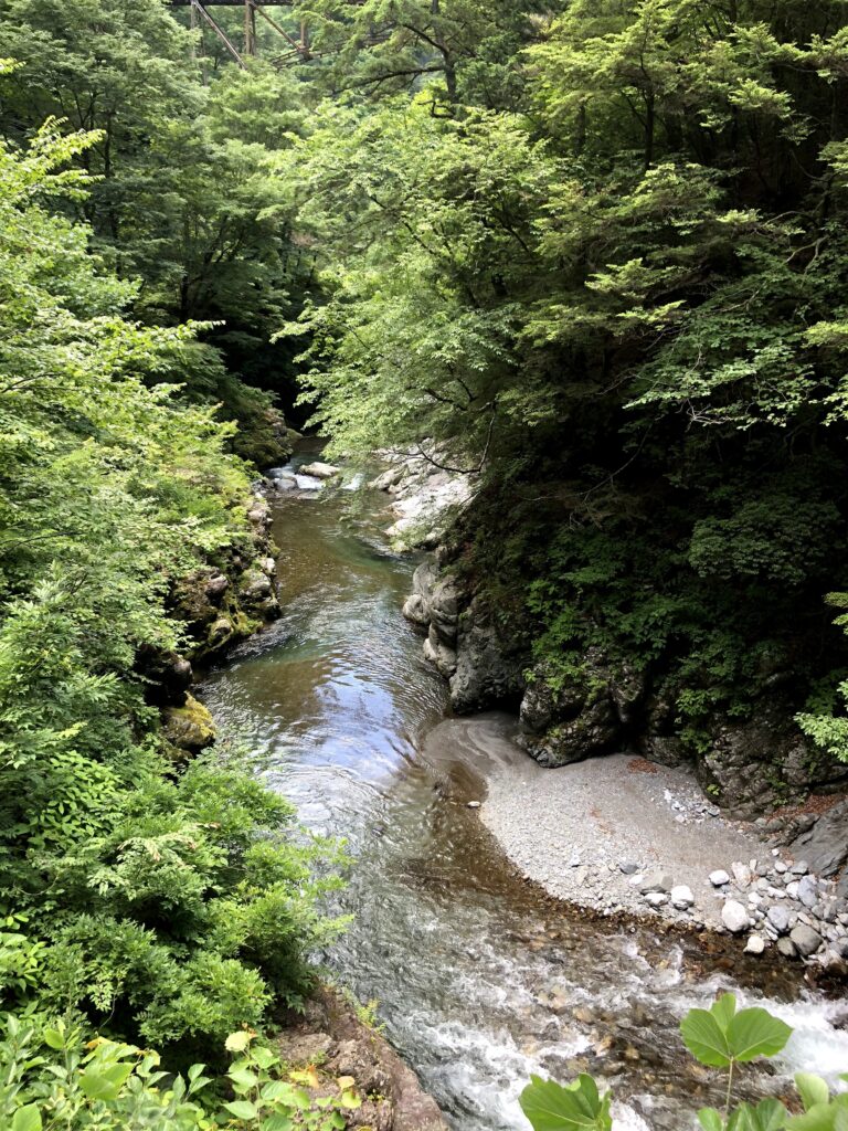 川苔山から奥多摩駅に向かう途中